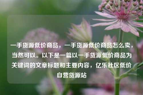 一手货源低价商品，一手货源低价商品怎么卖，当然可以。以下是一篇以一手货源低价商品为关键词的文章标题和主要内容	，亿乐社区低价自营货源站  第1张