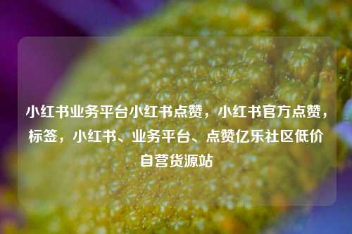 小红书业务平台小红书点赞	，小红书官方点赞，标签，小红书、业务平台、点赞亿乐社区低价自营货源站  第1张