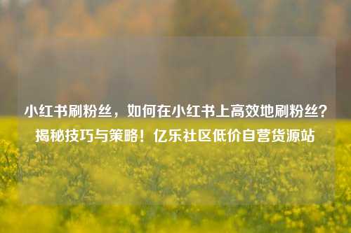 小红书刷粉丝，如何在小红书上高效地刷粉丝？揭秘技巧与策略！亿乐社区低价自营货源站  第1张
