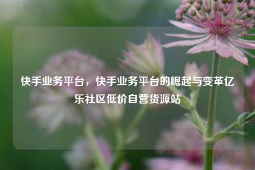 快手业务平台	，快手业务平台的崛起与变革亿乐社区低价自营货源站  第1张
