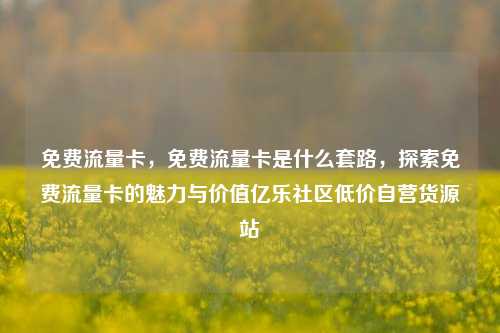 免费流量卡，免费流量卡是什么套路	，探索免费流量卡的魅力与价值亿乐社区低价自营货源站  第1张