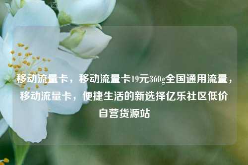 移动流量卡，移动流量卡19元360g全国通用流量	，移动流量卡，便捷生活的新选择亿乐社区低价自营货源站  第1张