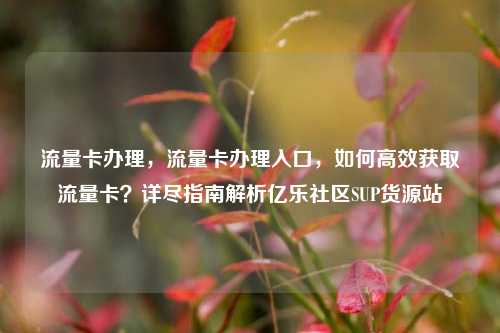 流量卡办理，流量卡办理入口，如何高效获取流量卡？详尽指南解析亿乐社区SUP货源站  第1张
