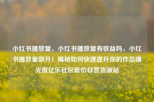 小红书播放量，小红书播放量有收益吗，小红书播放量飙升！揭秘如何快速提升你的作品曝光度亿乐社区低价自营货源站  第1张