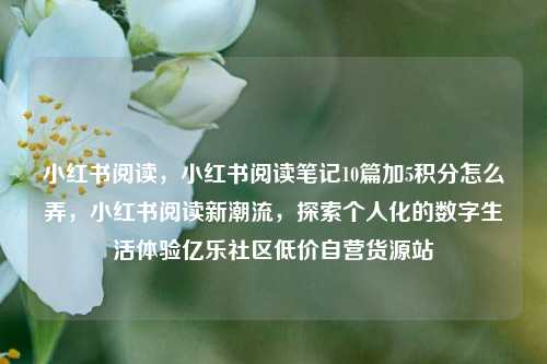 小红书阅读	，小红书阅读笔记10篇加5积分怎么弄，小红书阅读新潮流，探索个人化的数字生活体验亿乐社区低价自营货源站  第1张
