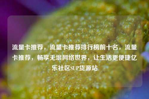 流量卡推荐	，流量卡推荐排行榜前十名，流量卡推荐，畅享无垠网络世界，让生活更便捷亿乐社区SUP货源站  第1张