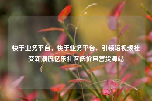 快手业务平台，快手业务平台，引领短视频社交新潮流亿乐社区低价自营货源站  第1张