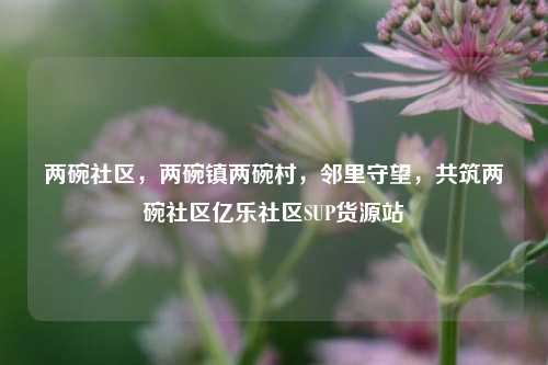 两碗社区，两碗镇两碗村	，邻里守望，共筑两碗社区亿乐社区SUP货源站  第1张