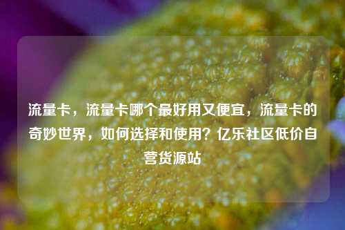 流量卡，流量卡哪个最好用又便宜	，流量卡的奇妙世界，如何选择和使用？亿乐社区低价自营货源站  第1张