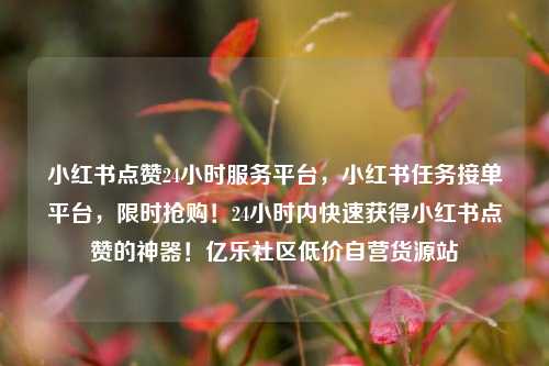 小红书点赞24小时服务平台，小红书任务接单平台，限时抢购！24小时内快速获得小红书点赞的神器！亿乐社区低价自营货源站  第1张