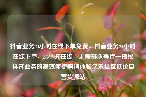 抖音业务24小时在线下单免费	，抖音业务24小时在线下单，24小时在线，无需排队等待—揭秘抖音业务的高效便捷购物体验亿乐社区低价自营货源站  第1张