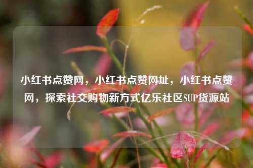 小红书点赞网，小红书点赞网址	，小红书点赞网，探索社交购物新方式亿乐社区SUP货源站  第1张