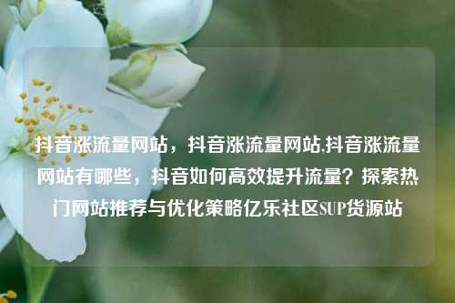 抖音涨流量网站，抖音涨流量网站,抖音涨流量网站有哪些，抖音如何高效提升流量？探索热门网站推荐与优化策略亿乐社区SUP货源站  第1张