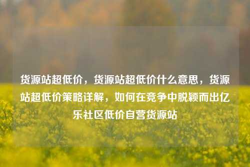 货源站超低价	，货源站超低价什么意思，货源站超低价策略详解，如何在竞争中脱颖而出亿乐社区低价自营货源站  第1张