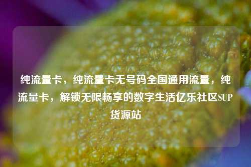 纯流量卡	，纯流量卡无号码全国通用流量，纯流量卡，解锁无限畅享的数字生活亿乐社区SUP货源站  第1张
