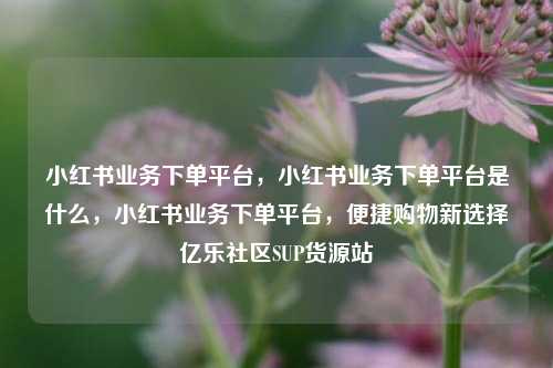小红书业务下单平台	，小红书业务下单平台是什么，小红书业务下单平台，便捷购物新选择亿乐社区SUP货源站  第1张