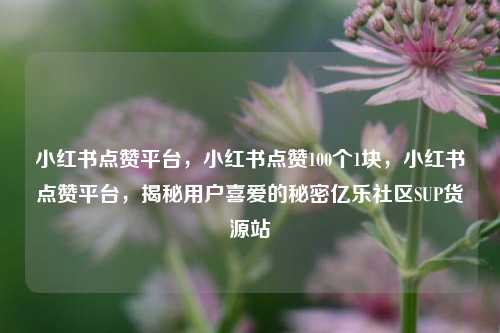 小红书点赞平台，小红书点赞100个1块，小红书点赞平台	，揭秘用户喜爱的秘密亿乐社区SUP货源站  第1张