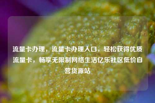 流量卡办理，流量卡办理入口	，轻松获得优质流量卡，畅享无限制网络生活亿乐社区低价自营货源站  第1张