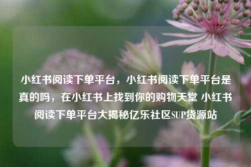 小红书阅读下单平台，小红书阅读下单平台是真的吗，在小红书上找到你的购物天堂 小红书阅读下单平台大揭秘亿乐社区SUP货源站  第1张