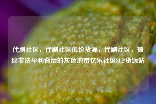 代刷社区，代刷社区低价货源，代刷社区	，揭秘非法牟利背后的灰色地带亿乐社区SUP货源站  第1张