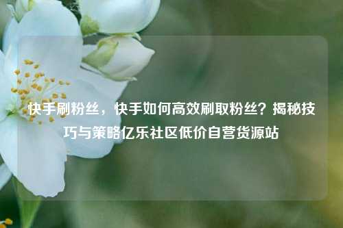 快手刷粉丝，快手如何高效刷取粉丝？揭秘技巧与策略亿乐社区低价自营货源站  第1张