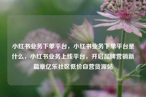 小红书业务下单平台	，小红书业务下单平台是什么，小红书业务上线平台，开启品牌营销新篇章亿乐社区低价自营货源站  第1张