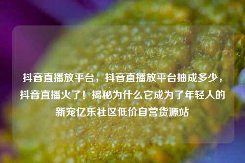 抖音直播放平台，抖音直播放平台抽成多少	，抖音直播火了！揭秘为什么它成为了年轻人的新宠亿乐社区低价自营货源站  第1张