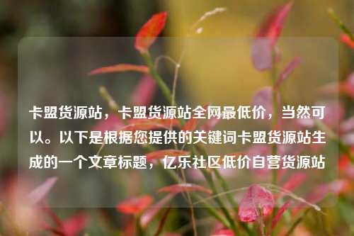 卡盟货源站，卡盟货源站全网最低价	，当然可以。以下是根据您提供的关键词卡盟货源站生成的一个文章标题，亿乐社区低价自营货源站  第1张