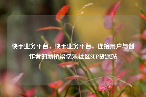 快手业务平台，快手业务平台	，连接用户与创作者的新桥梁亿乐社区SUP货源站  第1张