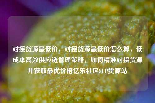 对接货源最低价，对接货源最低价怎么算，低成本高效供应链管理策略	，如何精准对接货源并获取最优价格亿乐社区SUP货源站  第1张