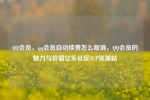 QQ会员，qq会员自动续费怎么取消，QQ会员的魅力与价值亿乐社区SUP货源站  第1张