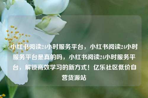 小红书阅读24小时服务平台，小红书阅读24小时服务平台是真的吗，小红书阅读24小时服务平台	，解锁高效学习的新方式！亿乐社区低价自营货源站  第1张