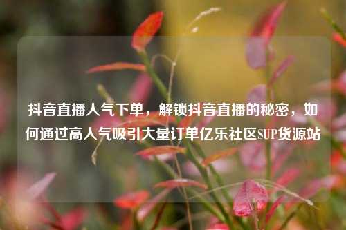 抖音直播人气下单	，解锁抖音直播的秘密，如何通过高人气吸引大量订单亿乐社区SUP货源站  第1张