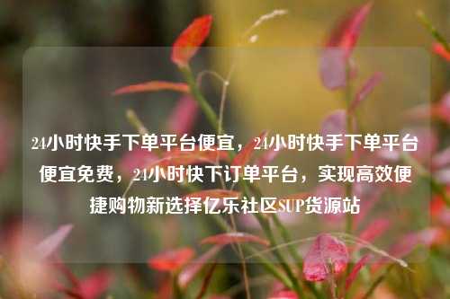 24小时快手下单平台便宜，24小时快手下单平台便宜免费	，24小时快下订单平台，实现高效便捷购物新选择亿乐社区SUP货源站  第1张
