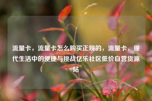 流量卡，流量卡怎么购买正规的，流量卡	，现代生活中的便捷与挑战亿乐社区低价自营货源站  第1张