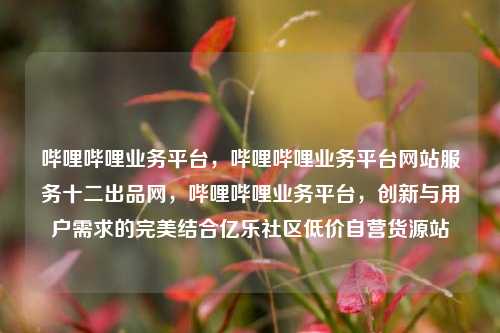 哔哩哔哩业务平台，哔哩哔哩业务平台网站服务十二出品网	，哔哩哔哩业务平台，创新与用户需求的完美结合亿乐社区低价自营货源站  第1张