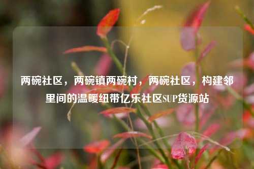两碗社区	，两碗镇两碗村，两碗社区，构建邻里间的温暖纽带亿乐社区SUP货源站  第1张