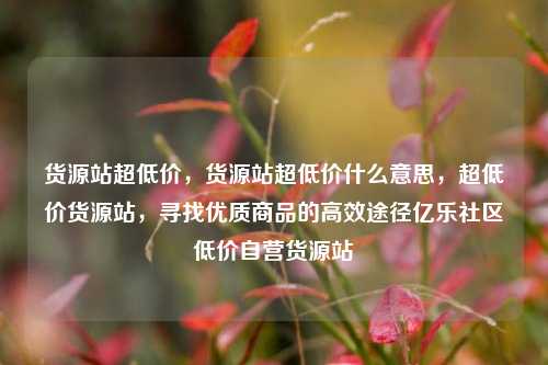 货源站超低价，货源站超低价什么意思，超低价货源站	，寻找优质商品的高效途径亿乐社区低价自营货源站  第1张
