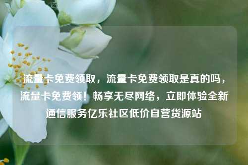 流量卡免费领取，流量卡免费领取是真的吗	，流量卡免费领！畅享无尽网络，立即体验全新通信服务亿乐社区低价自营货源站  第1张