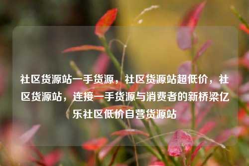 社区货源站一手货源，社区货源站超低价	，社区货源站，连接一手货源与消费者的新桥梁亿乐社区低价自营货源站  第1张