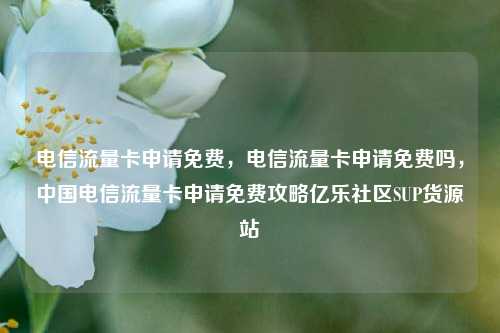 电信流量卡申请免费，电信流量卡申请免费吗，中国电信流量卡申请免费攻略亿乐社区SUP货源站  第1张