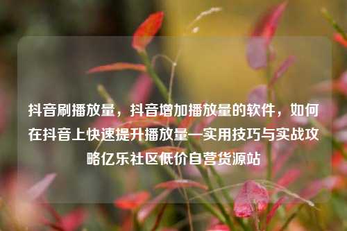 抖音刷播放量，抖音增加播放量的软件，如何在抖音上快速提升播放量—实用技巧与实战攻略亿乐社区低价自营货源站  第1张