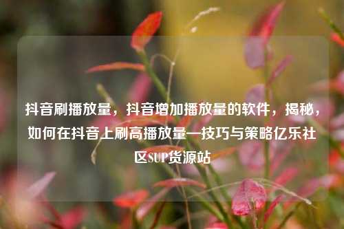 抖音刷播放量，抖音增加播放量的软件，揭秘，如何在抖音上刷高播放量—技巧与策略亿乐社区SUP货源站  第1张