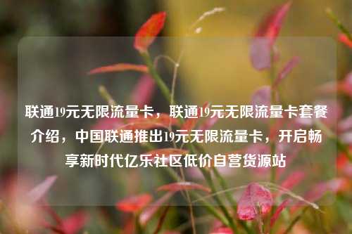 联通19元无限流量卡，联通19元无限流量卡套餐介绍，中国联通推出19元无限流量卡	，开启畅享新时代亿乐社区低价自营货源站  第1张