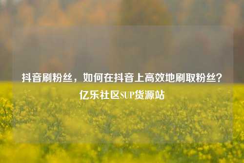抖音刷粉丝，如何在抖音上高效地刷取粉丝？亿乐社区SUP货源站  第1张