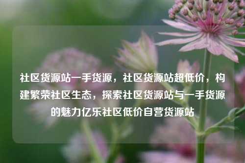 社区货源站一手货源	，社区货源站超低价，构建繁荣社区生态，探索社区货源站与一手货源的魅力亿乐社区低价自营货源站  第1张