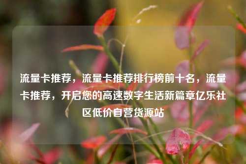 流量卡推荐，流量卡推荐排行榜前十名，流量卡推荐	，开启您的高速数字生活新篇章亿乐社区低价自营货源站  第1张
