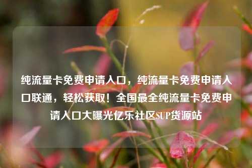 纯流量卡免费申请入口，纯流量卡免费申请入口联通	，轻松获取！全国最全纯流量卡免费申请入口大曝光亿乐社区SUP货源站  第1张