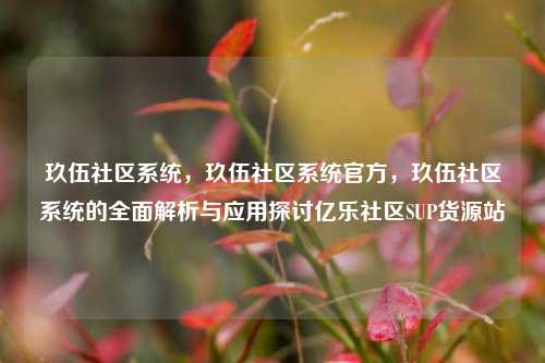 玖伍社区系统，玖伍社区系统官方	，玖伍社区系统的全面解析与应用探讨亿乐社区SUP货源站  第1张