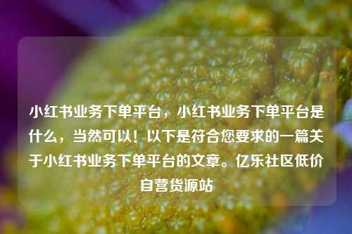 小红书业务下单平台，小红书业务下单平台是什么，当然可以！以下是符合您要求的一篇关于小红书业务下单平台的文章。亿乐社区低价自营货源站  第1张